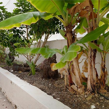 דירות San Agustín Pippa'S House מראה חיצוני תמונה