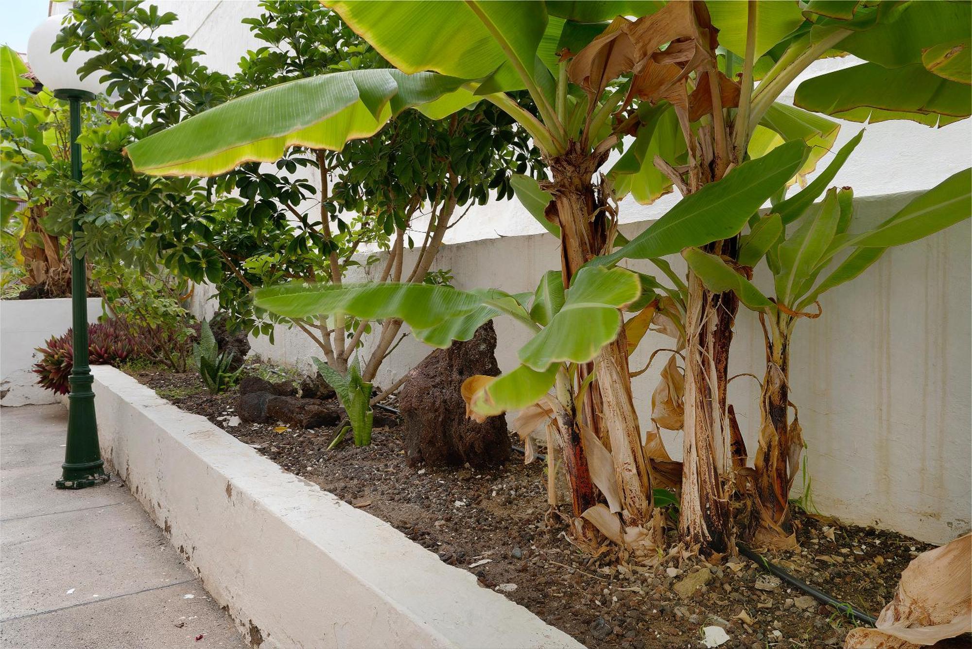 דירות San Agustín Pippa'S House מראה חיצוני תמונה